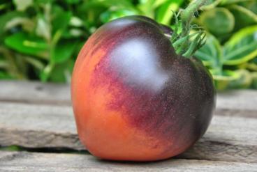 Pomidor ametyst heart