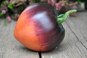 Pomidor ametyst heart