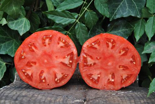 Pomidor classic beefsteak