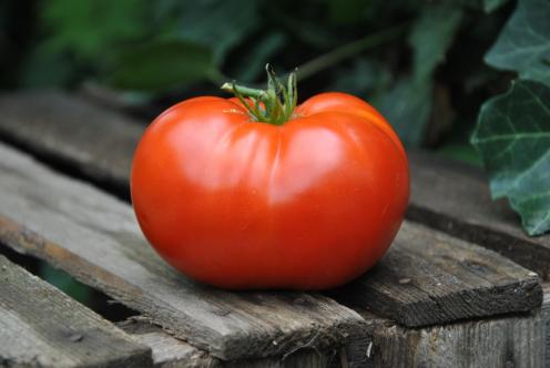 Pomidor classic beefsteak
