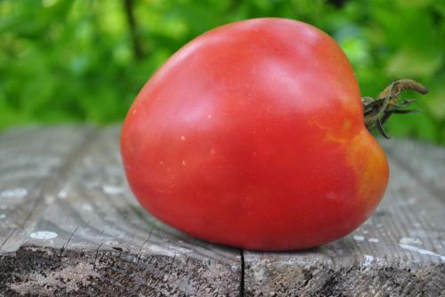 Pomidor Upstate oxheart