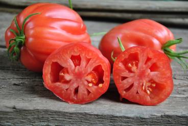 Pomidor Fiammante