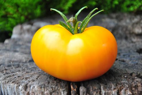 Pomidor Orange jazz