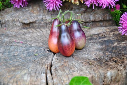 Indigo Pear Drops